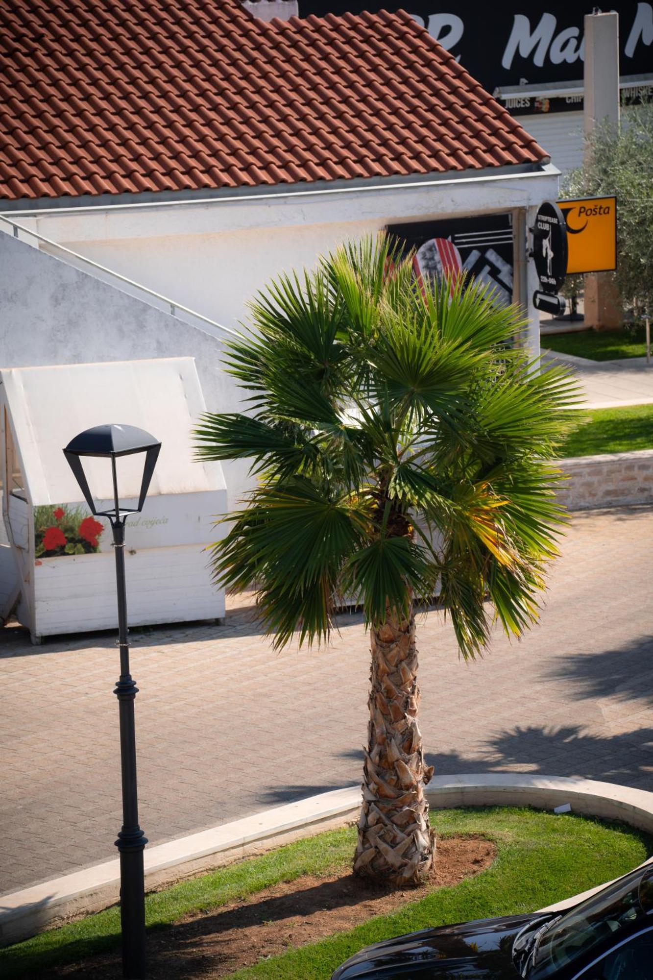 Apartments Centar Vodice Exterior photo