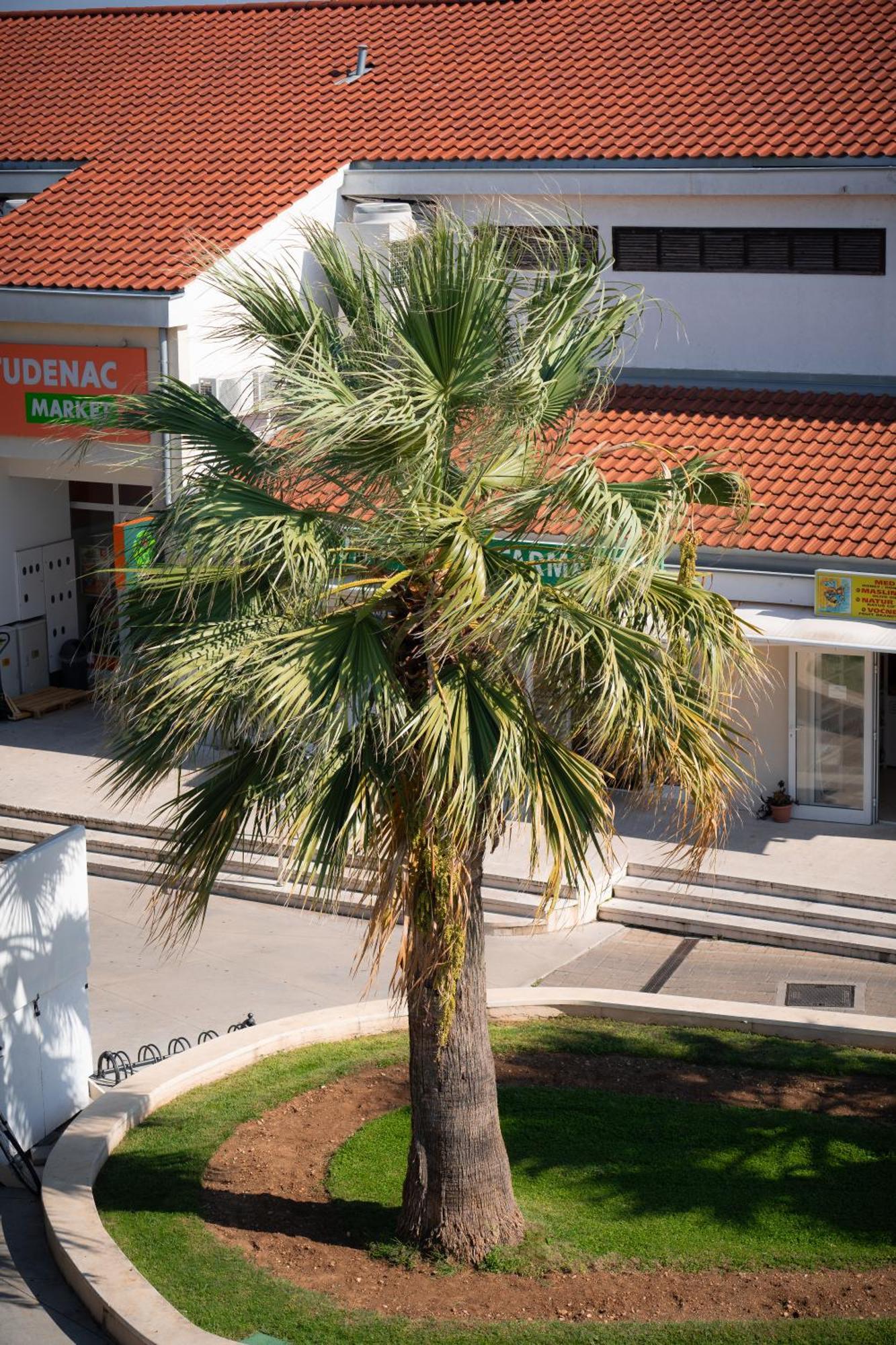 Apartments Centar Vodice Exterior photo