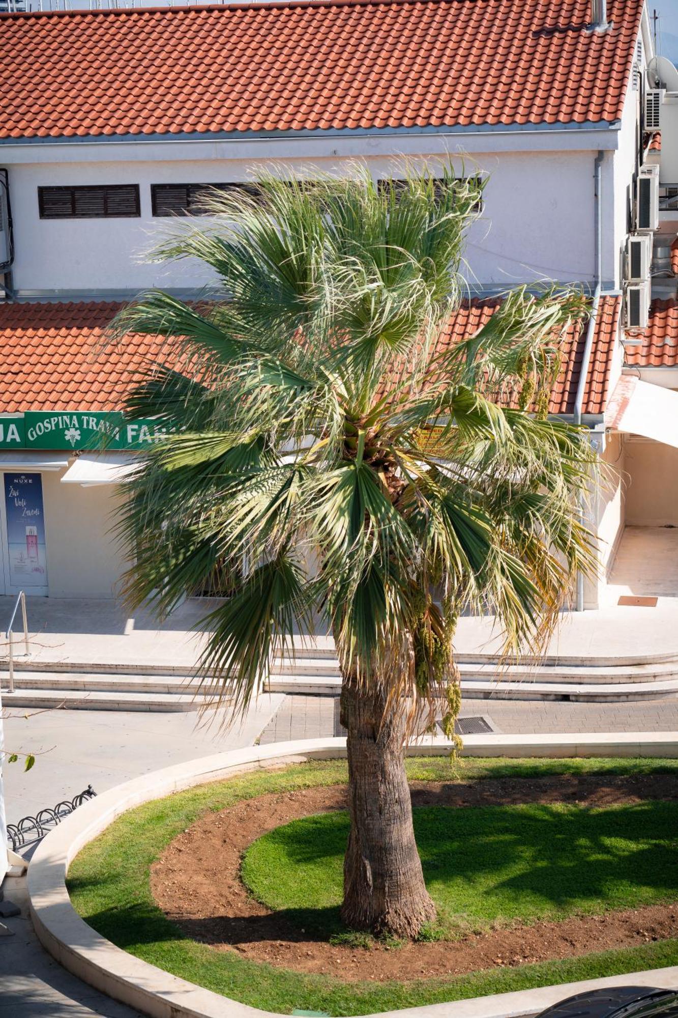 Apartments Centar Vodice Exterior photo
